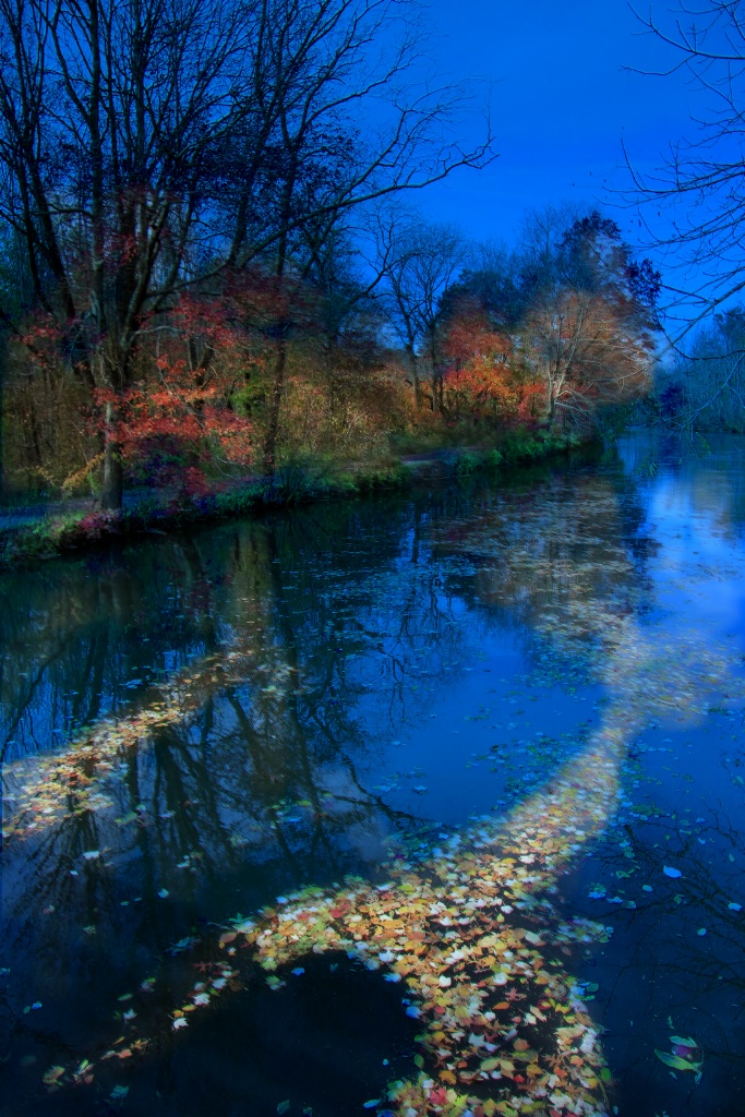 A Stream of Autumn Leaves