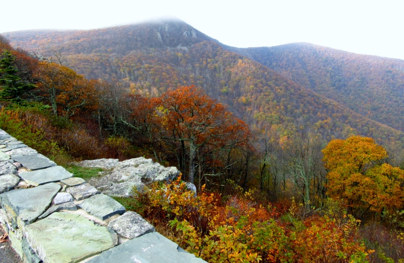 Autumn in Shenandoah National Park