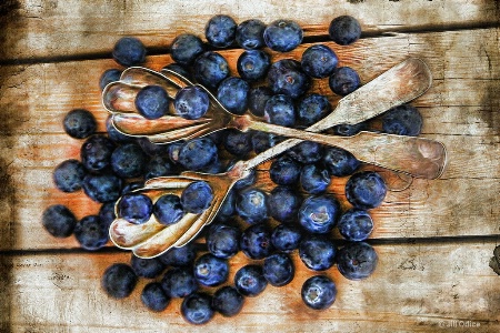 Vintage Blueberries