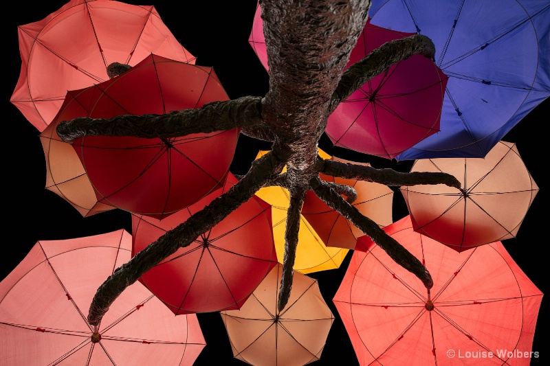 Umbrella Tree - ID: 15265282 © Louise Wolbers