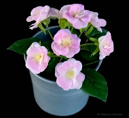 Pail Of Pink Flowers
