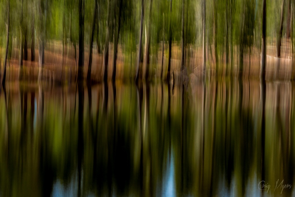 Lake in the Woods
