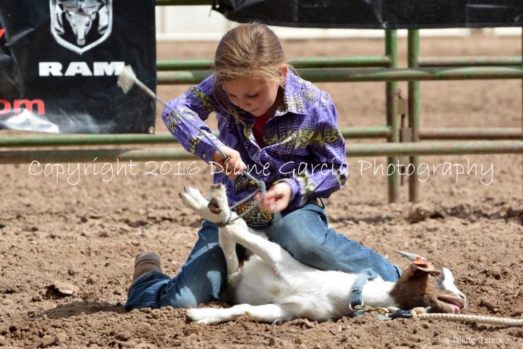 Austyn Thornton 5th Under 2016 Nephi GT 1.JPG - ID: 15266287 © Diane Garcia