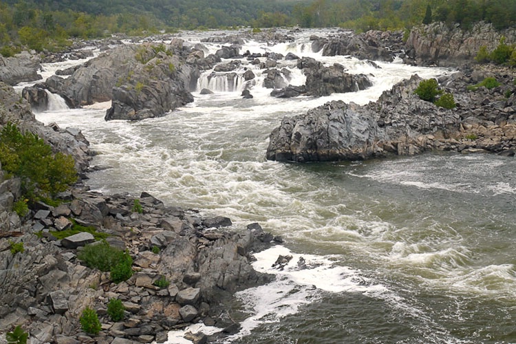 Great Falls, Fairfax County, VA - ID: 15266342 © george w. sharpton