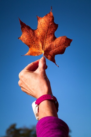 Sharing Autumn