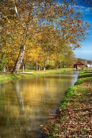 Fall Along the Canal
