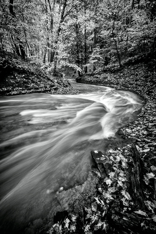 Columbia Run - CVNP - ID: 15266925 © Bill Currier