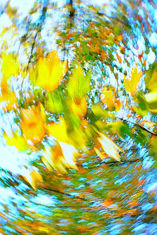 img7
