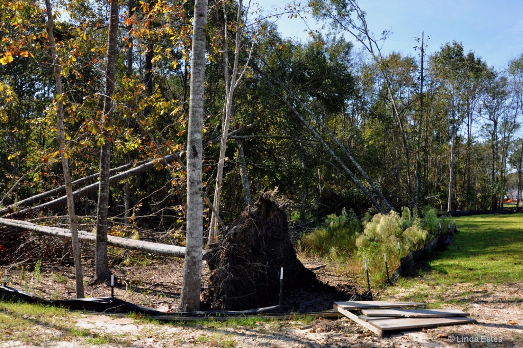 They All Fall Down: Beyond the Hurricane