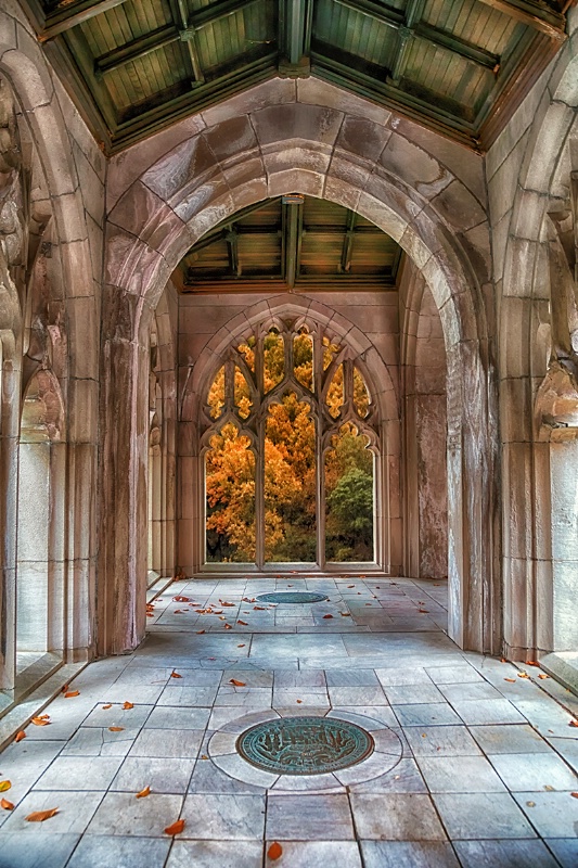 Autumn Arches