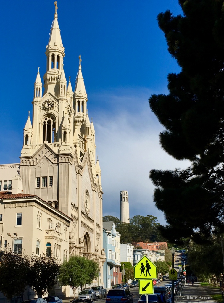 Guess which City Sts PeterPaul Coit up the hill - ID: 15269920 © Alice Kozar