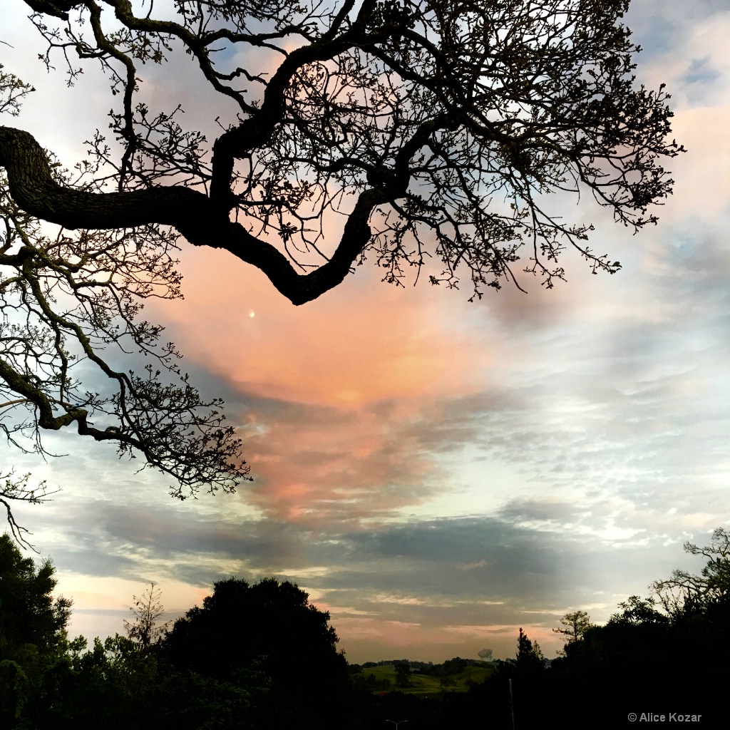 Peek-a-Boo Moon Spooky Sunset - ID: 15269923 © Alice Kozar