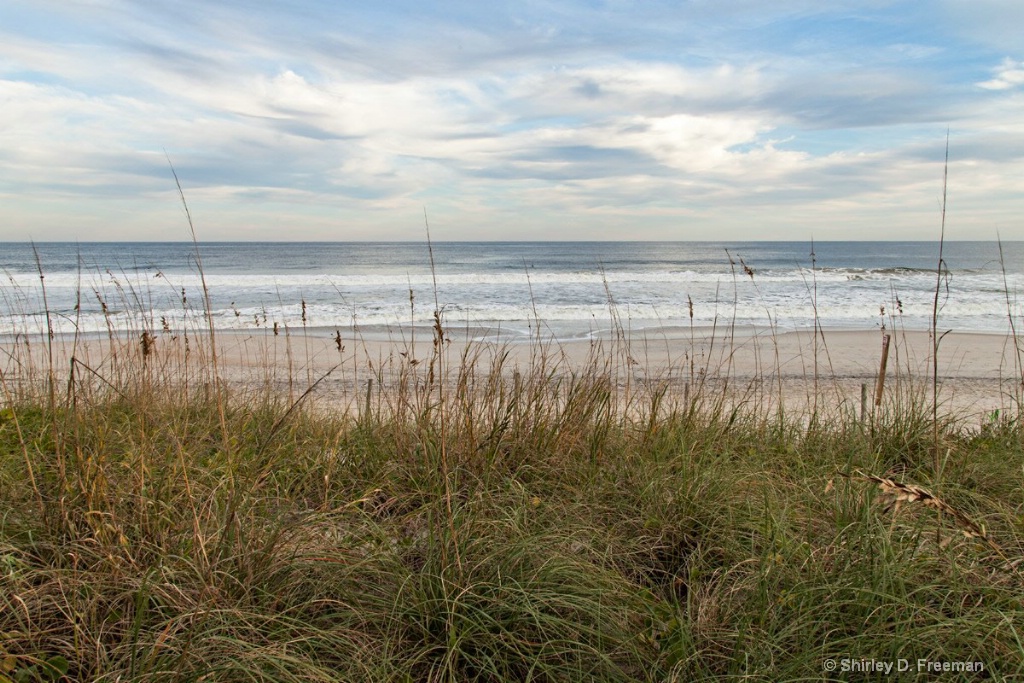 Carolina Beach in November - ID: 15270762 © Shirley D. Freeman