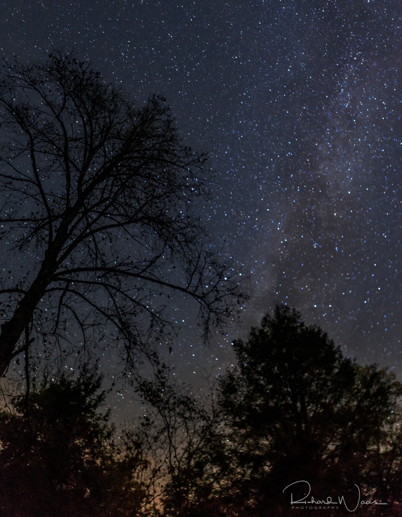 Milky Way in the Great Smoky Mountains