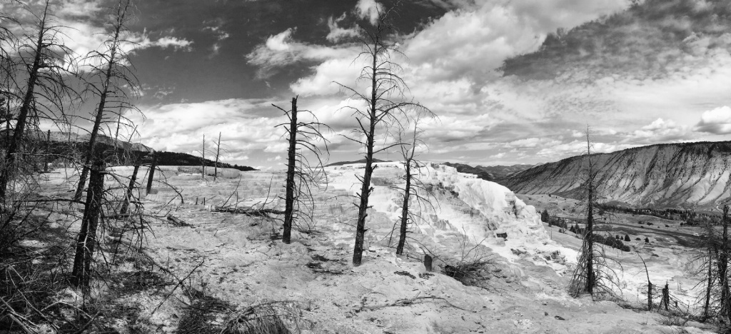 Yellowstone Landscape 2