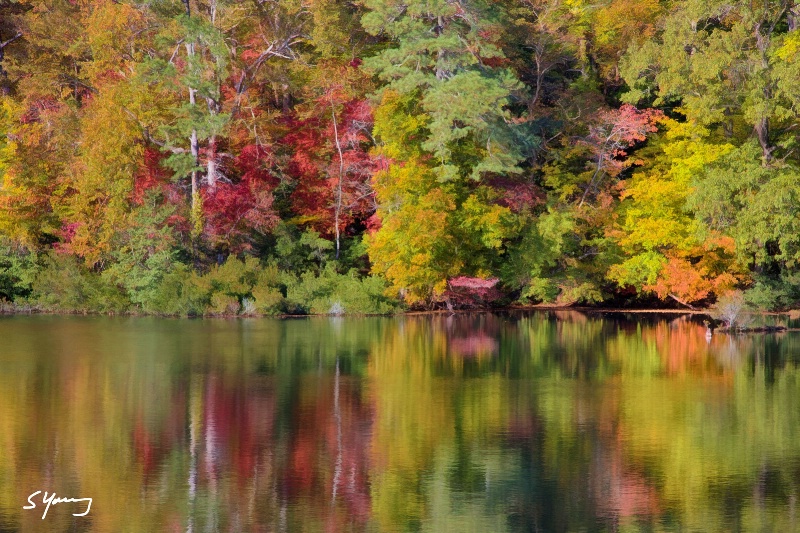 Fall Color Reflections; Yorktown, VA - ID: 15271040 © Richard S. Young