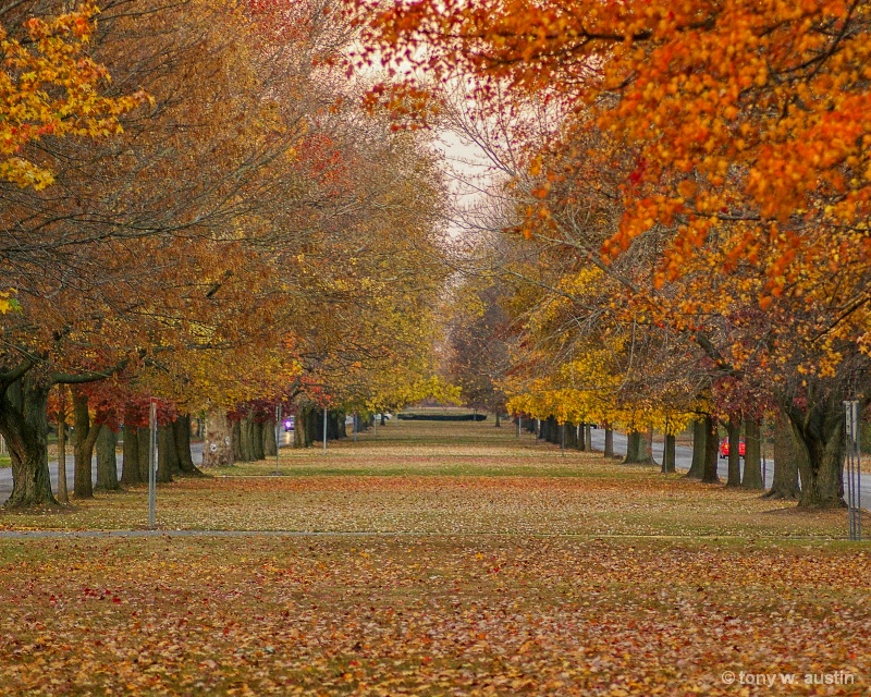 Fall on Ohio Boulevard
