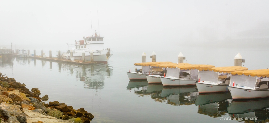 Misty Morning