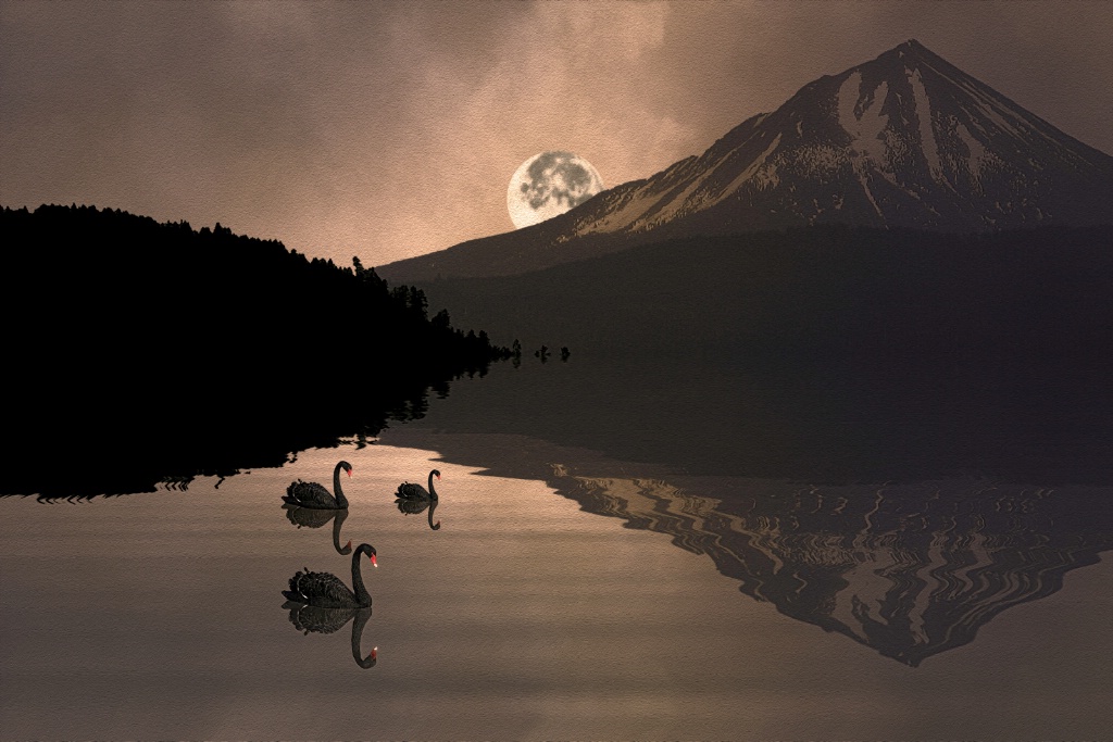 Midnight Moods Swan Lake In The Moonlight