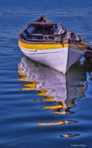 May 2024 Photo Contest 2nd Place Prize Winner