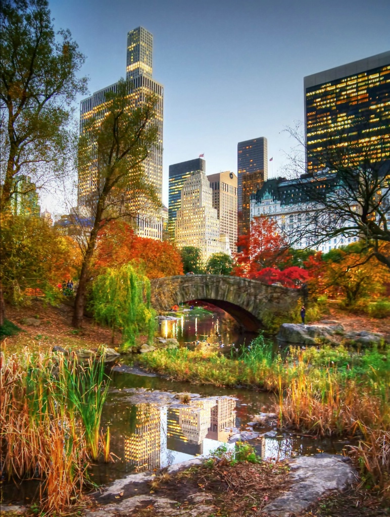 Nature in New York City