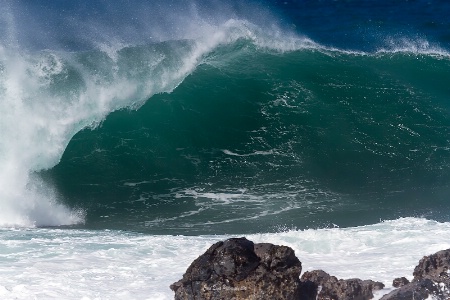 Surfs Up