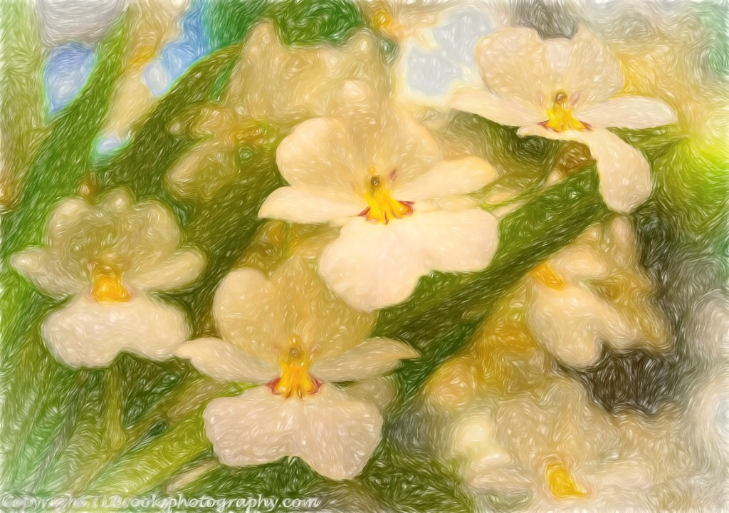 Van Goghs Orchids