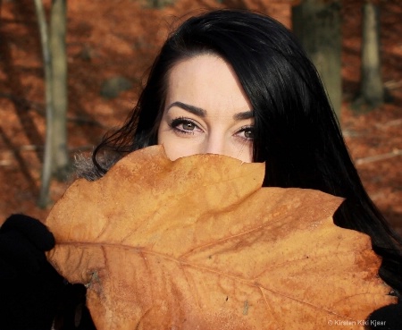Hiding Behind A Big Leaf