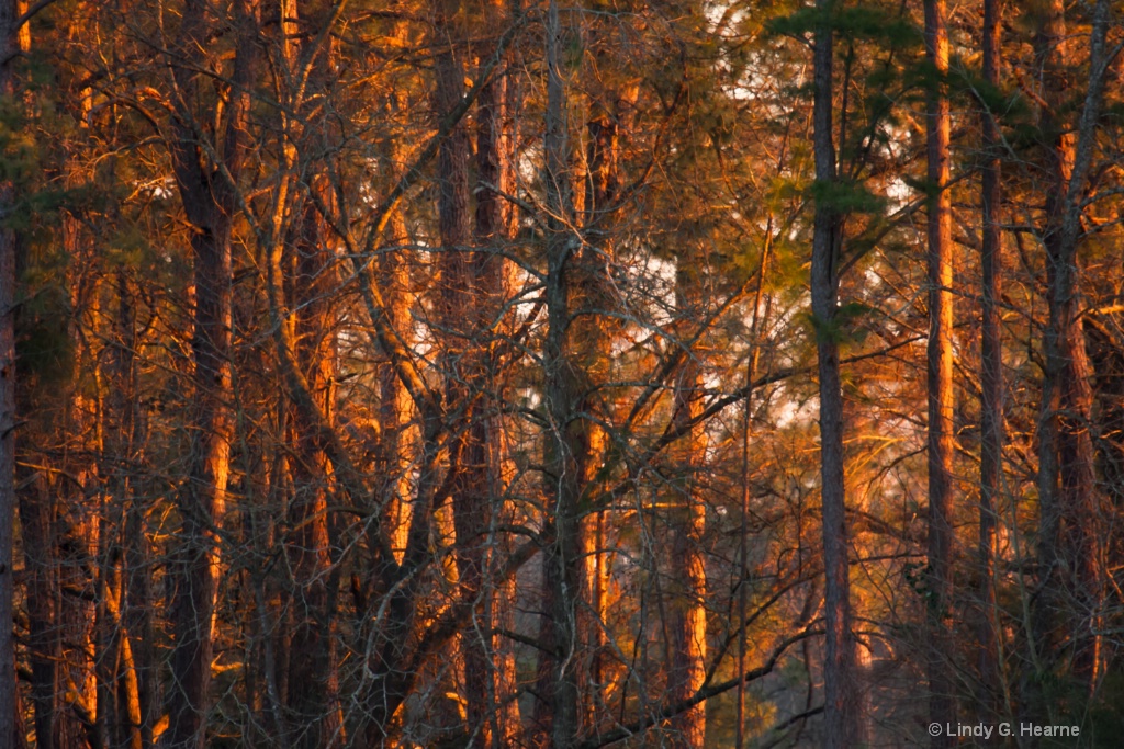 Close fire at Dusk