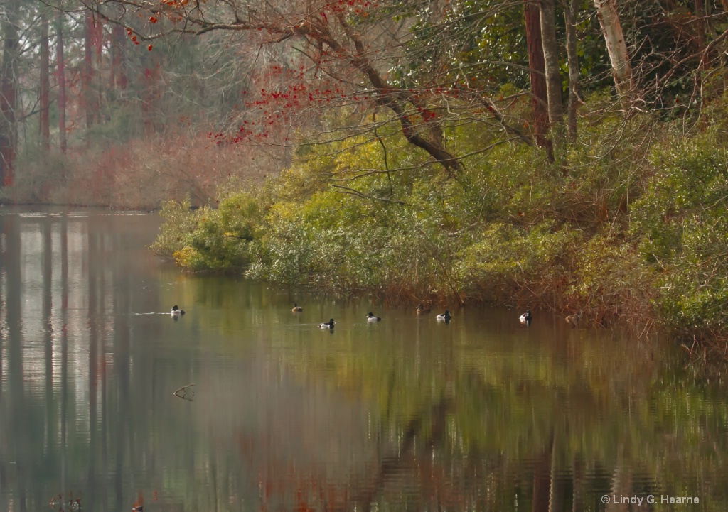 ducks under red canopy