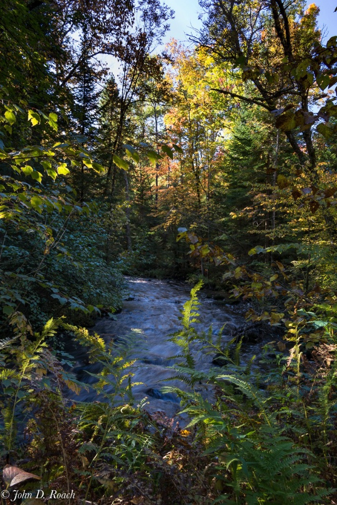A Creek in Autumn - ID: 15275624 © John D. Roach