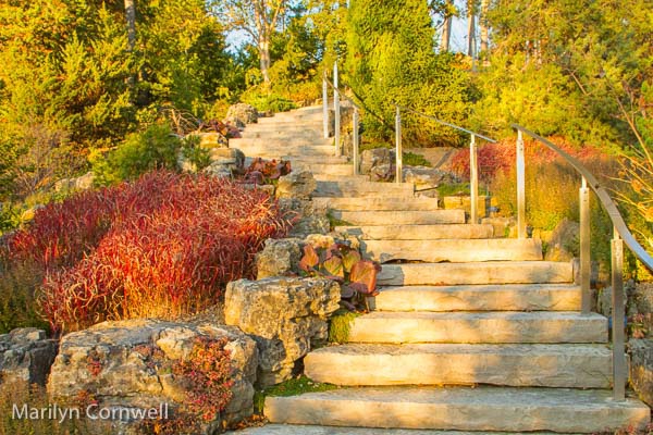 Royal Botanical Garden Rock Garden Stairway