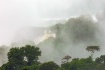 Toucans At Iguazu...