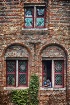 Boy In A Window