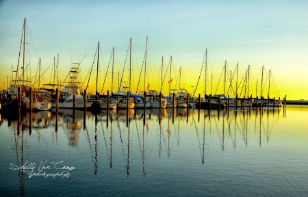 The Gulf shores