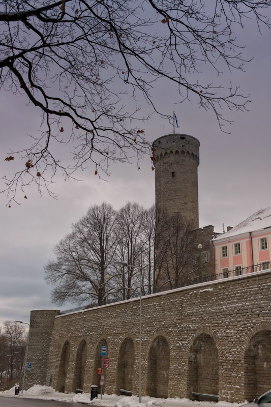 Toompea Castle And The Pikk Hermann Tower