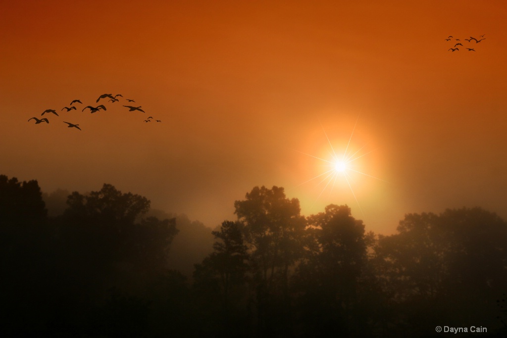 Early Morning Flight