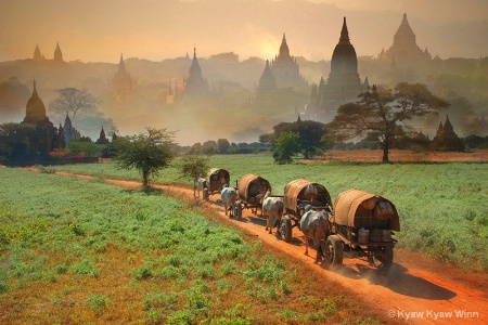 Nature of Bagan