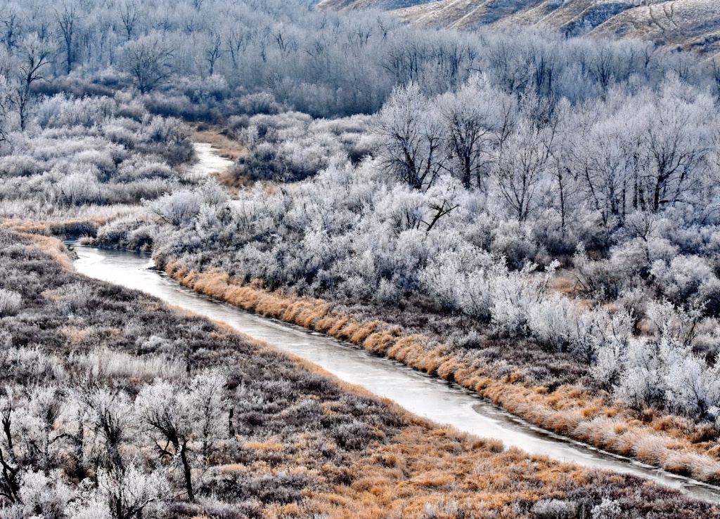 The Frozen Stream