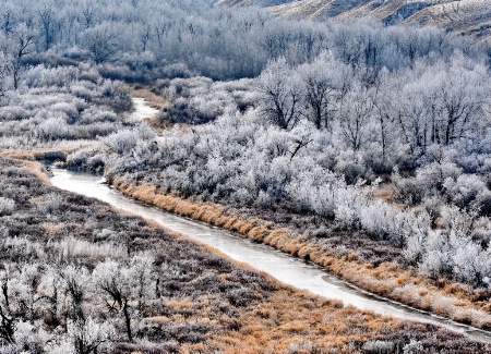 The Frozen Stream