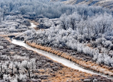 The Frozen Stream