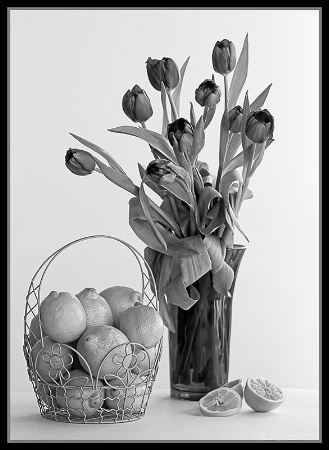 Tulips and Lemons