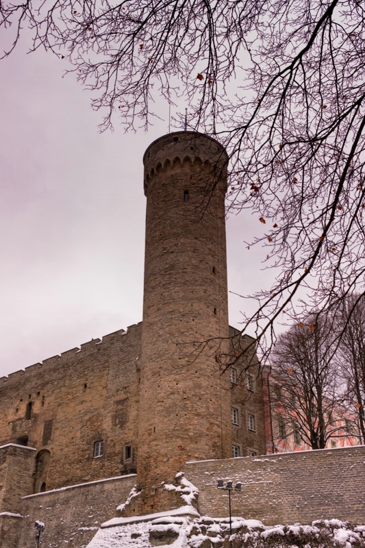 Pikk Hermann Tower