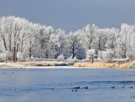 Frosty Day On The River