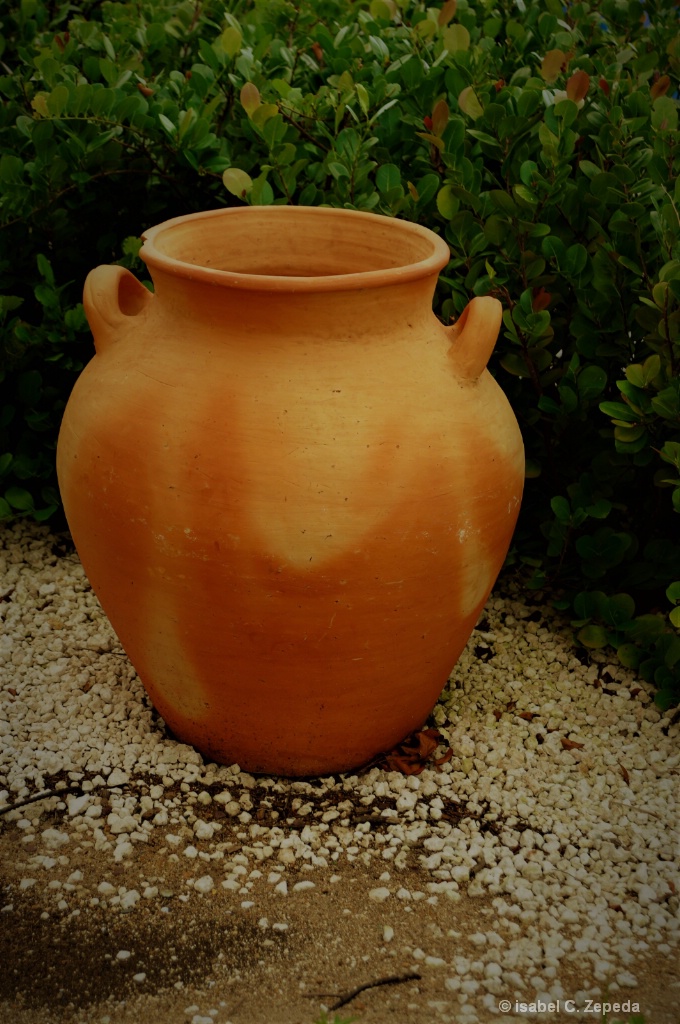 Clay Pot 