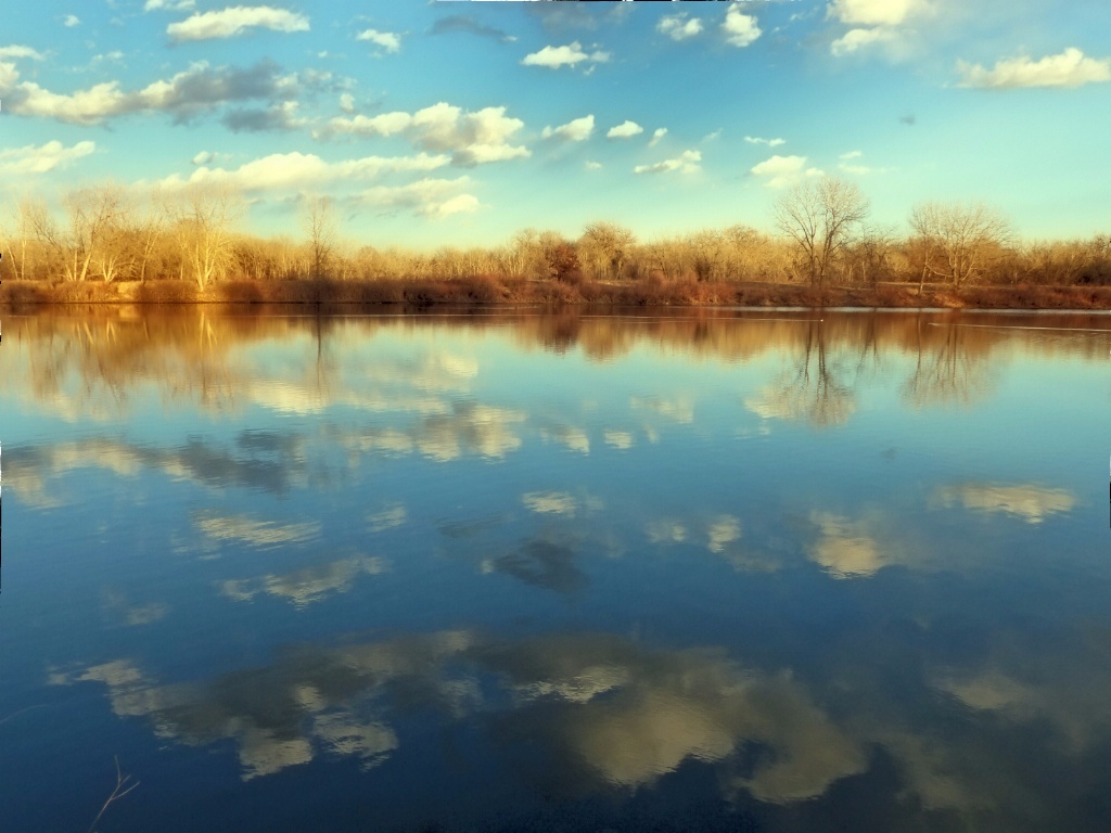 Sky in the Water