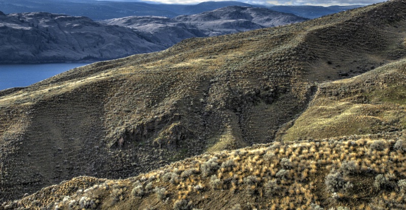 The Sagebrush Hills