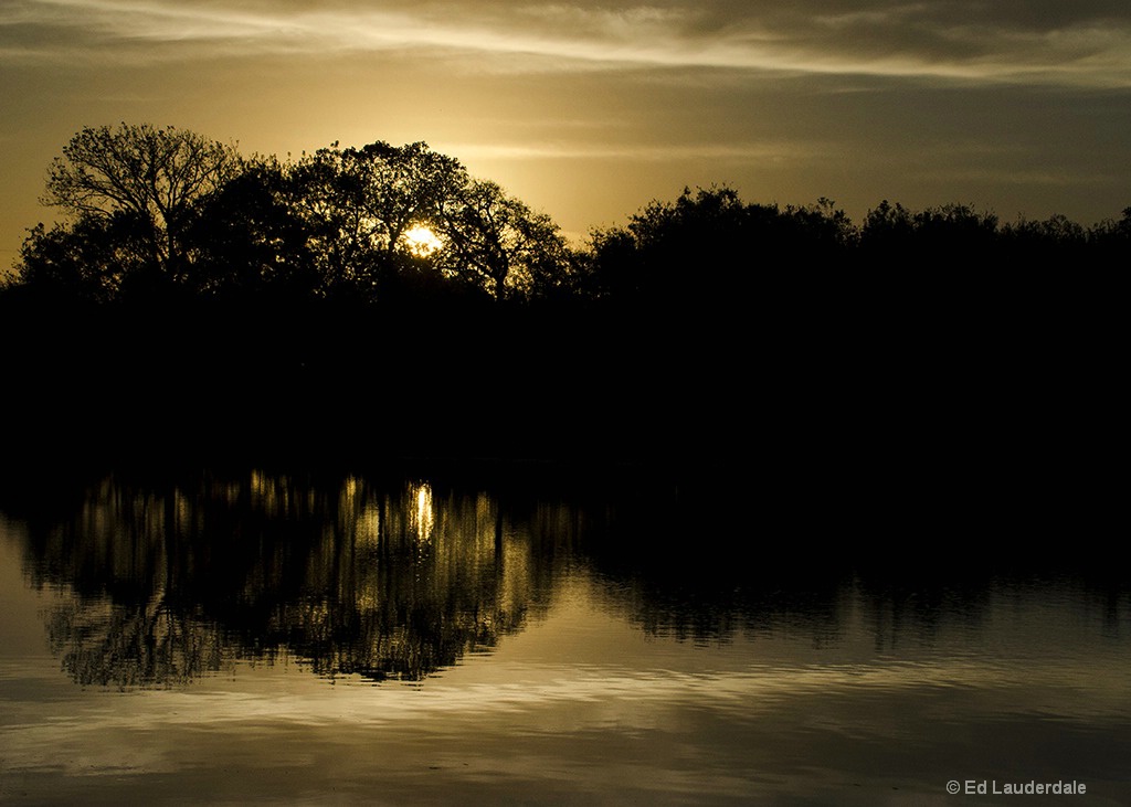 Reflections In Brass