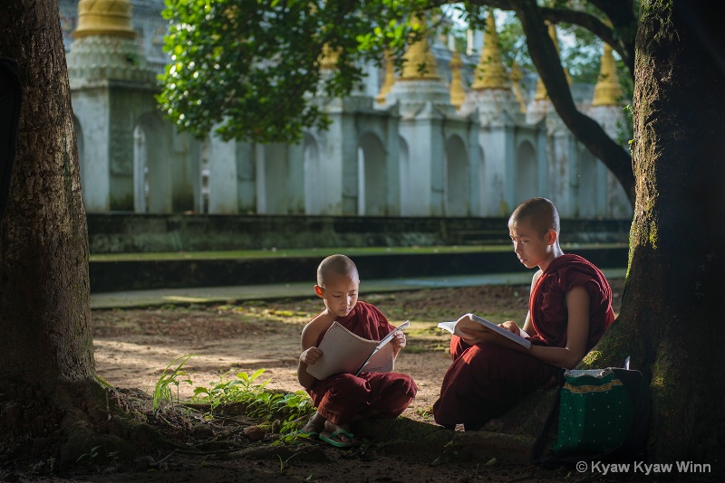 Study Hard - ID: 15284575 © Kyaw Kyaw Winn