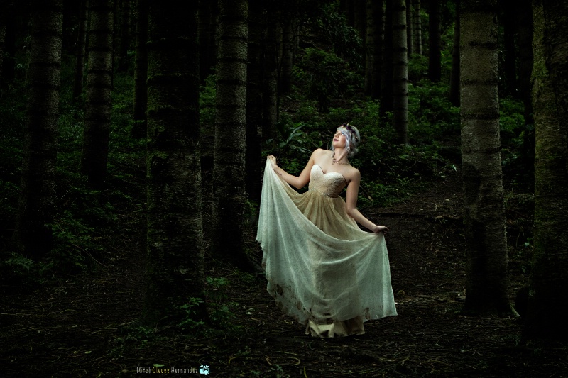 Lost in The Woods 